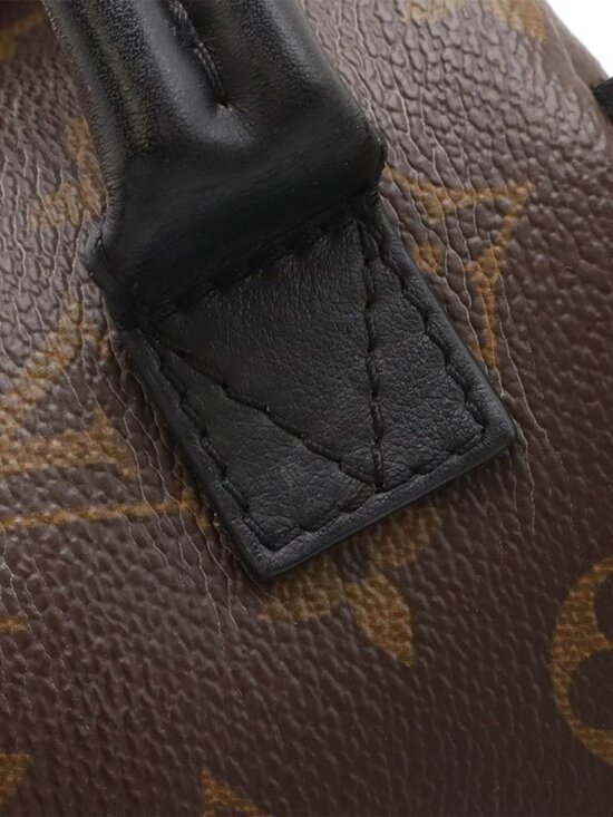 Louis Vuitton Monogram Palm Spring Backpack Mini main image 7